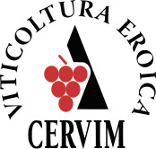 viticultura eroica