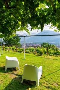Terrazza panoramica per le degustazioni di vino in Val d'Ossola