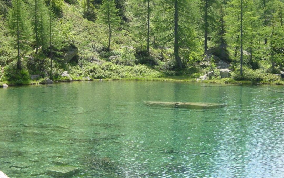 Alpe Veglia : pâturages et nature sauvage dans le Parc Veglia-Devero