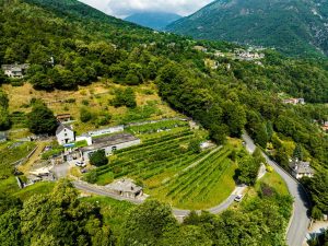Veduta aerea dei vigneti e del borgo dell'Azienda Agricola Edoardo Patrone