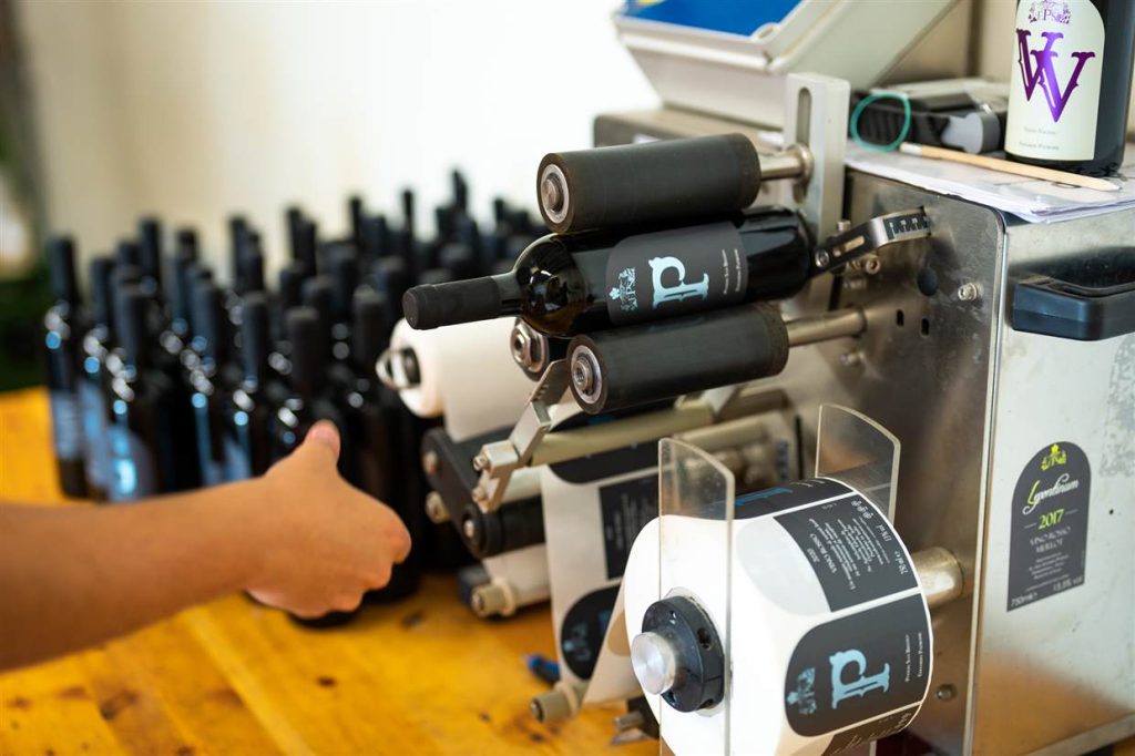 Bottiglie di vino etichettate in cantina, Azienda Agricola Edoardo Patrone