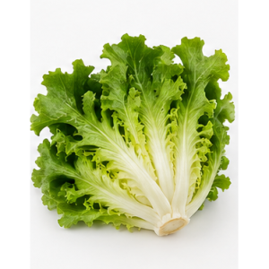 Rau escarole
